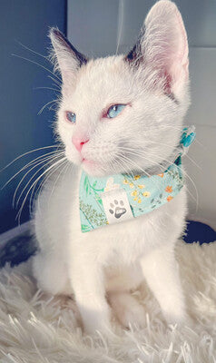 Wildflowers - Bandana | Reversible