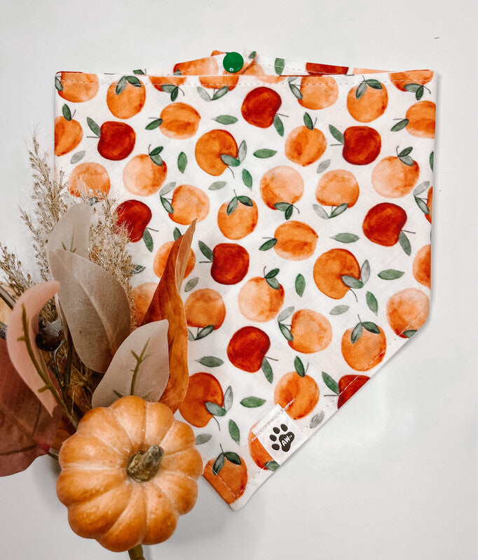 Fall Apples - Bandana