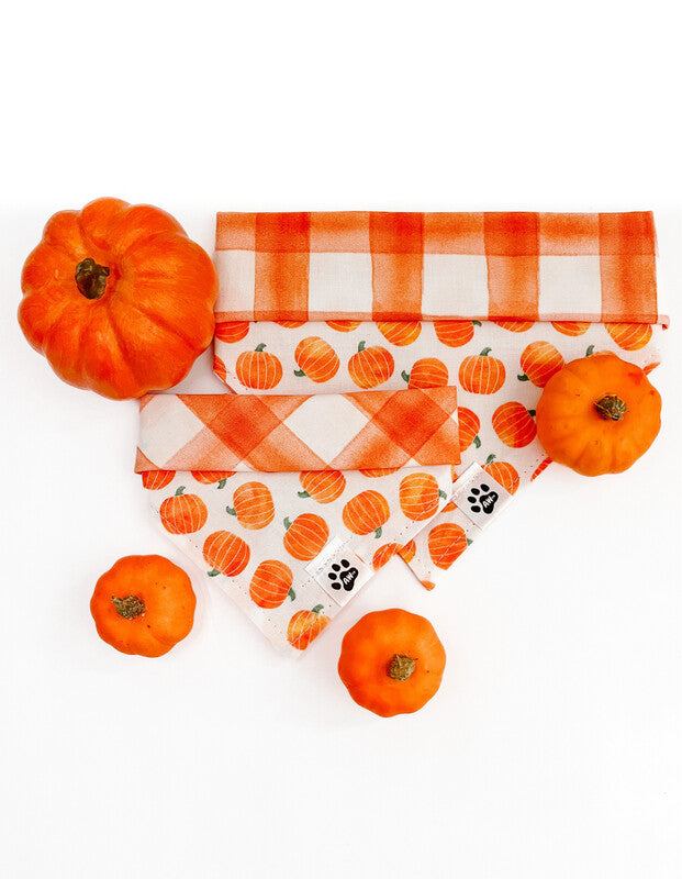 Pumpkin Plaid - bandana