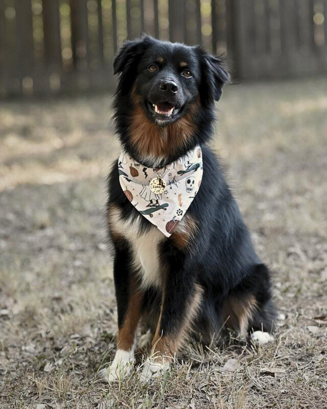 Skateboarding Ghosts - bandana