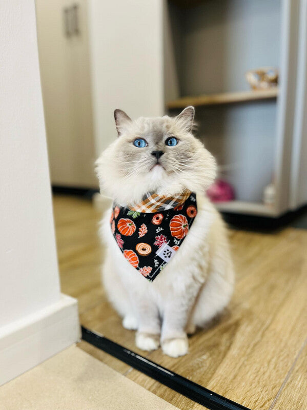 Pumpkins & Donuts - Reversible - Bandana