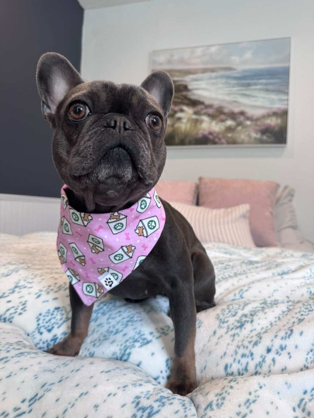 Pink Pup Cup - Bandana