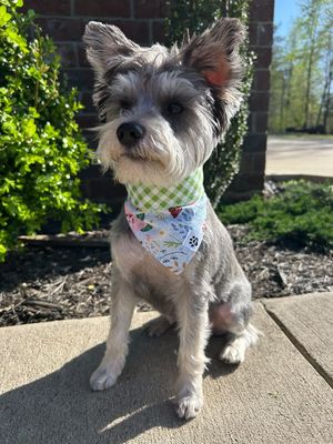 Natures Garden Reversible - Bandana