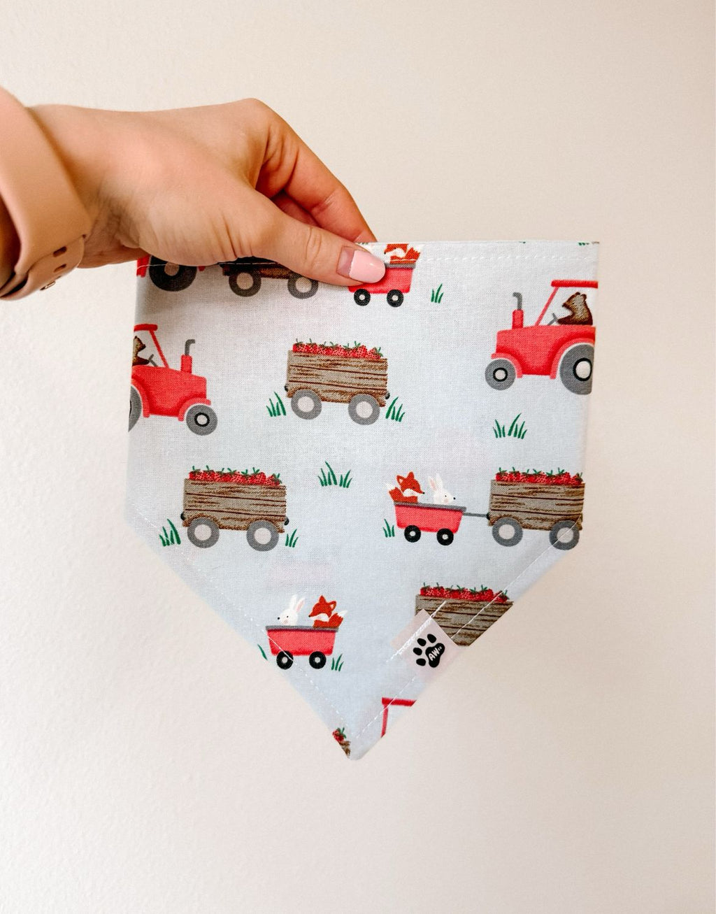 Farm Fresh Berries - Bandana