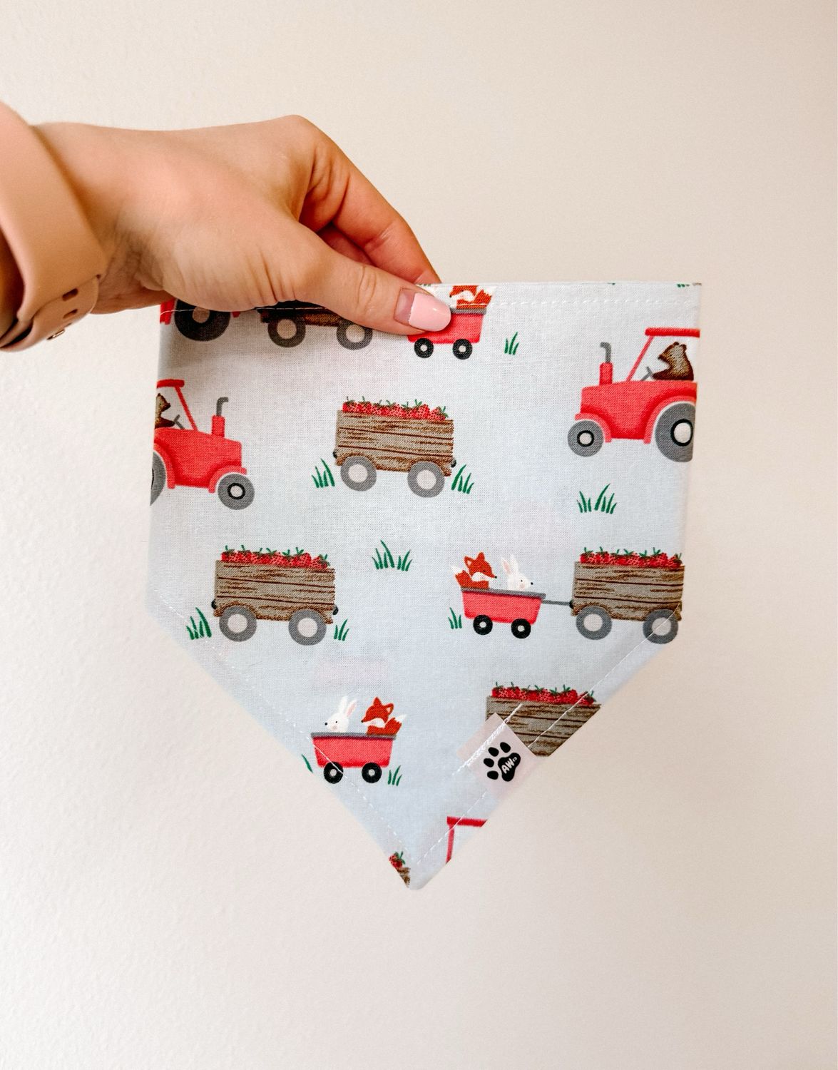 Farm Fresh Berries - Bandana