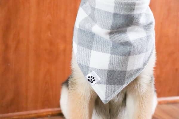 Cozy Plaid - Bandana