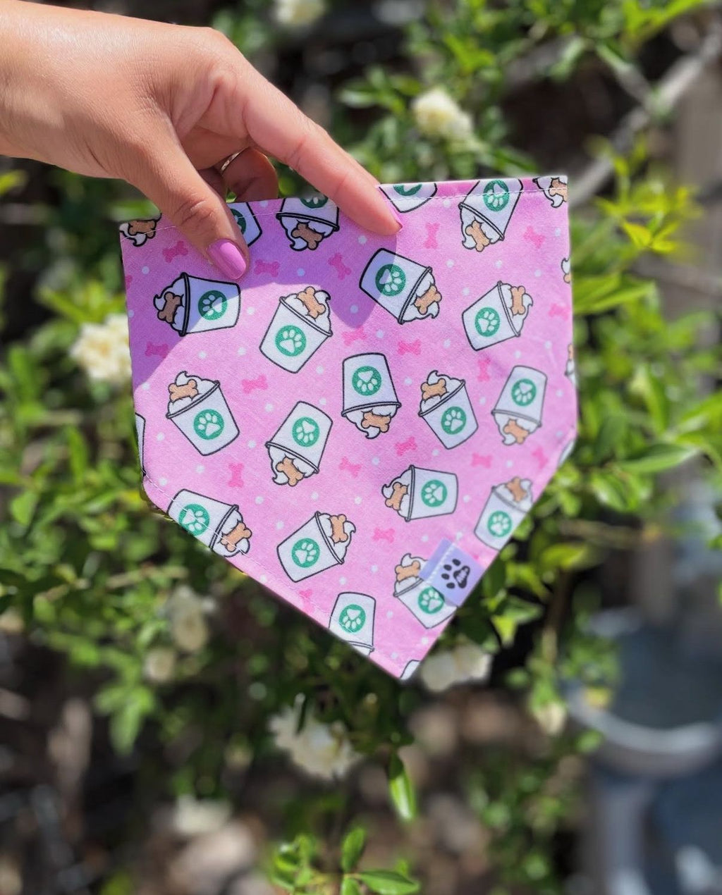 Pink Pup Cup - Bandana