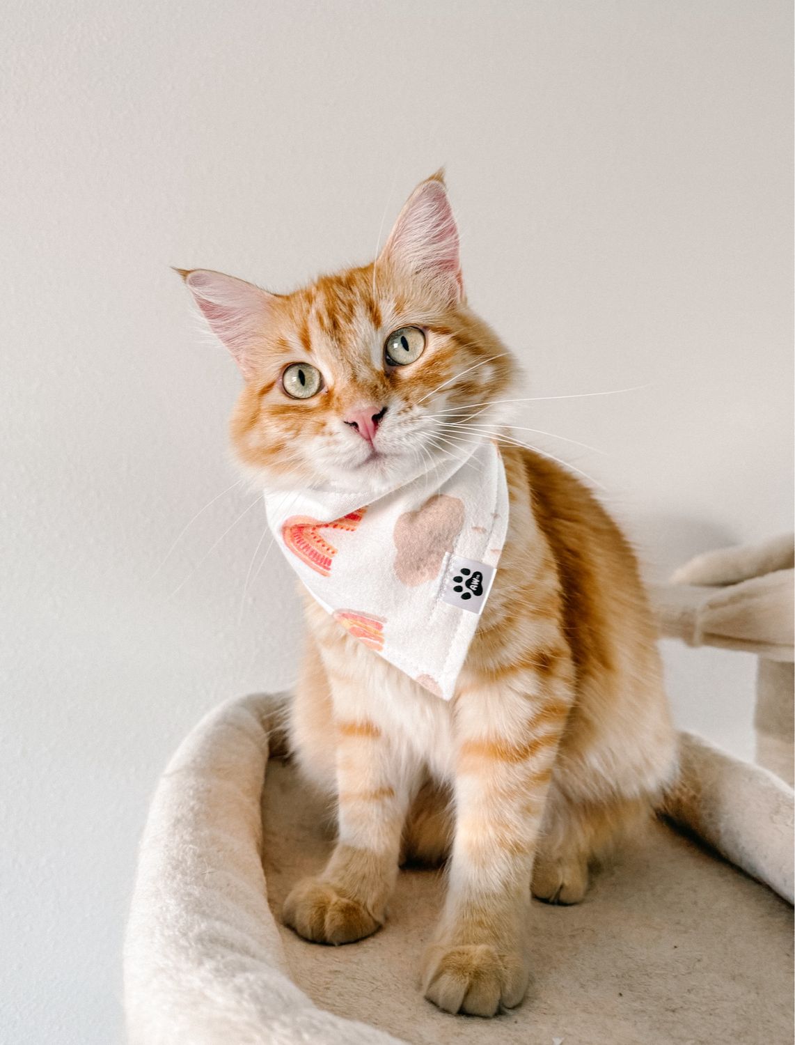 Sunny Rainbows - Bandana