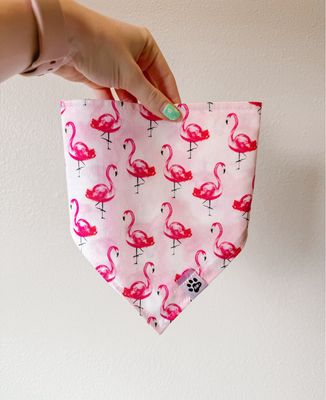 Flamingos - Bandana