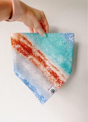 Tide Lines - Bandana