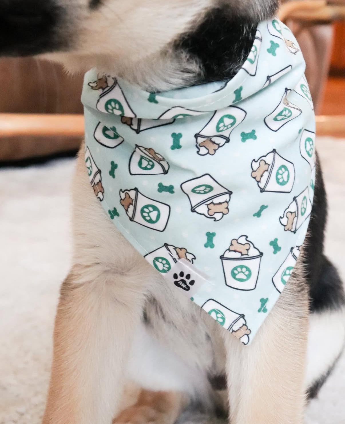 Pup Cup - Bandana