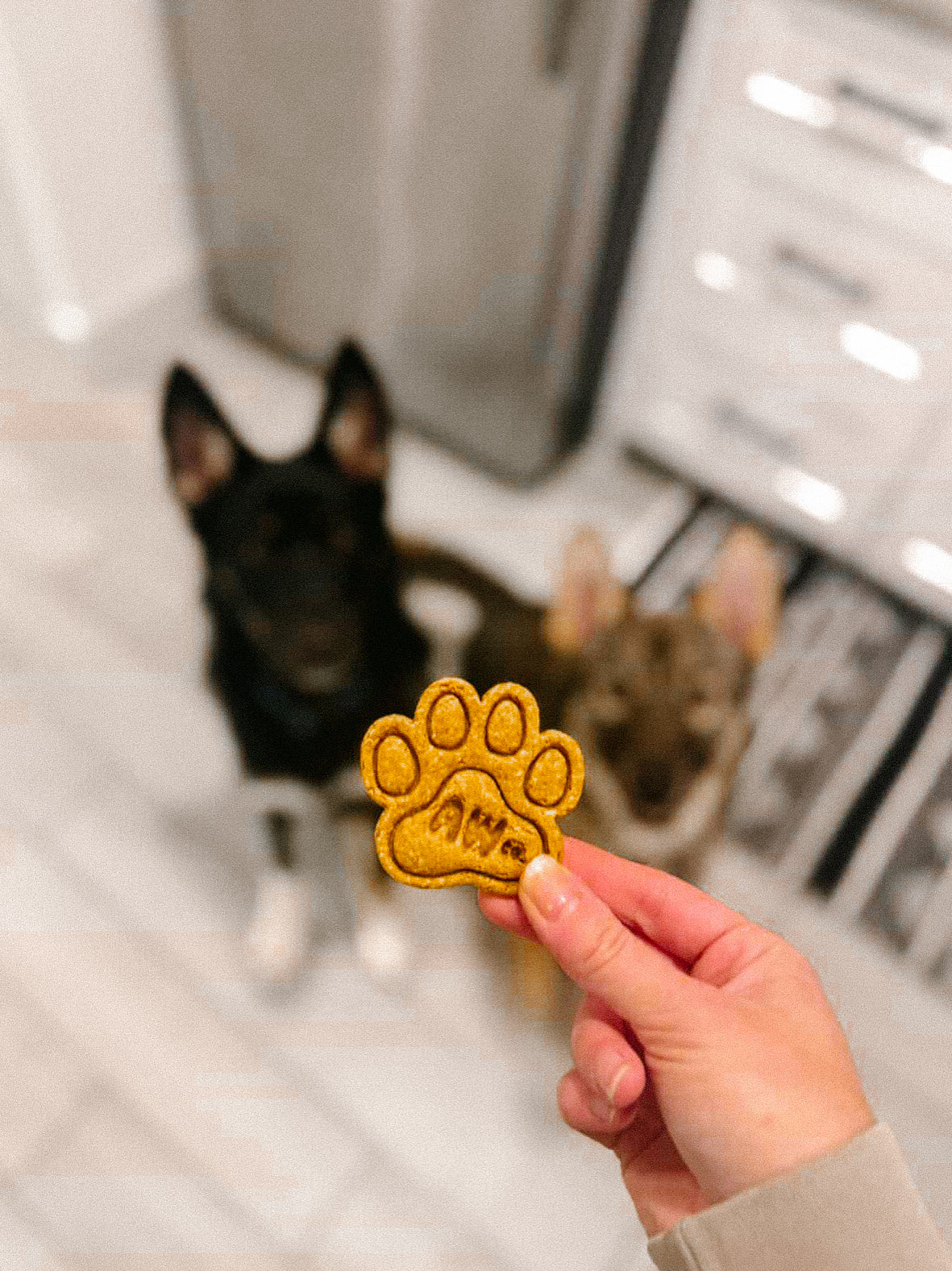 Homemade Branded Dog Cookie(s)