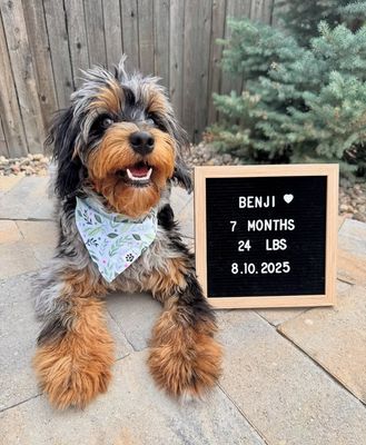 Blossom Dot - Bandana | Reversible