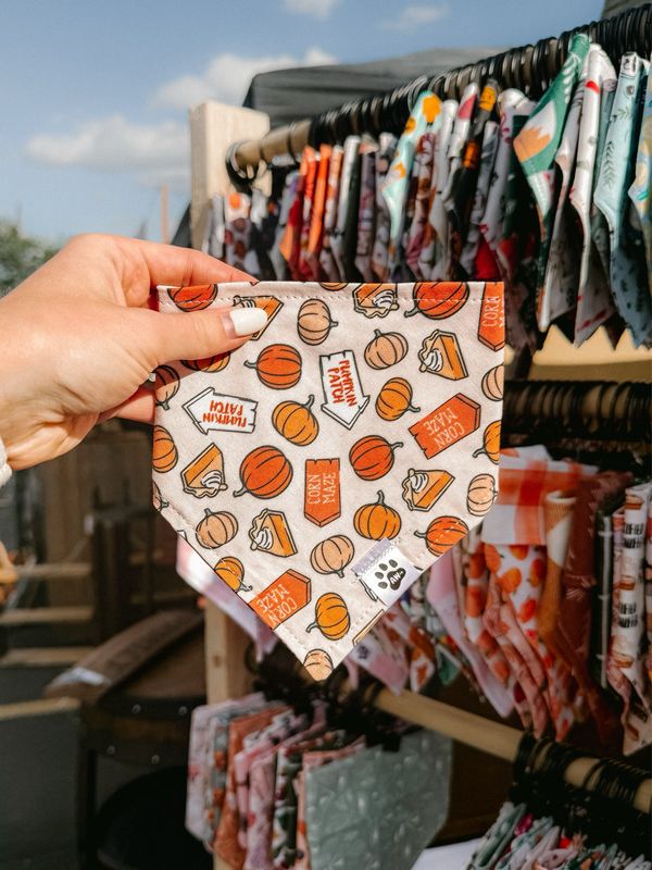 Pumpkin Patch - Bandana