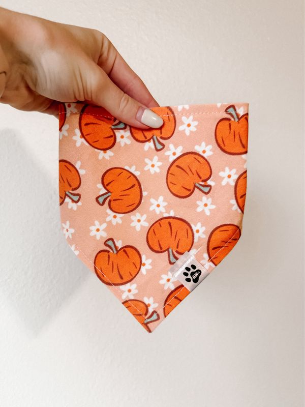 Hey Pumpkin - Bandana