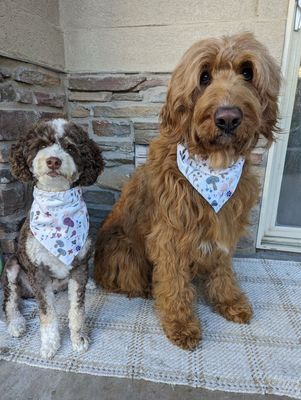 Shroom Bloom - Bandana