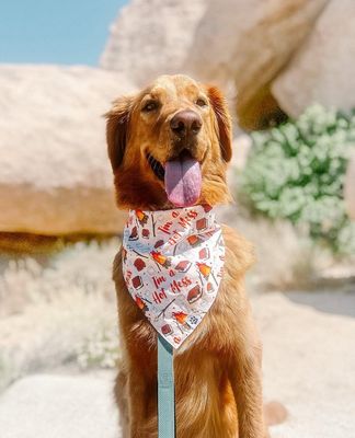 I’m A Hot Mess - Bandana