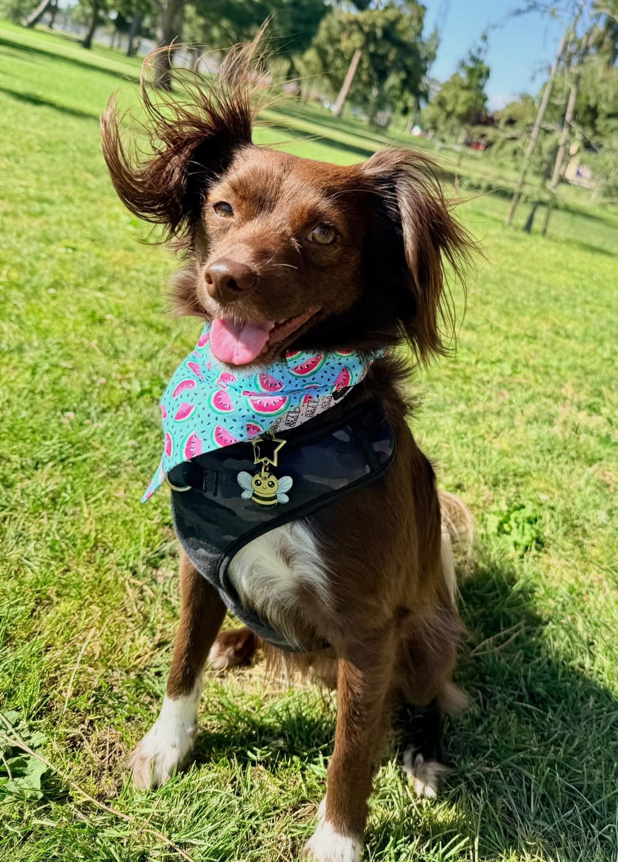Sweet Watermelon - Snap On Bandana