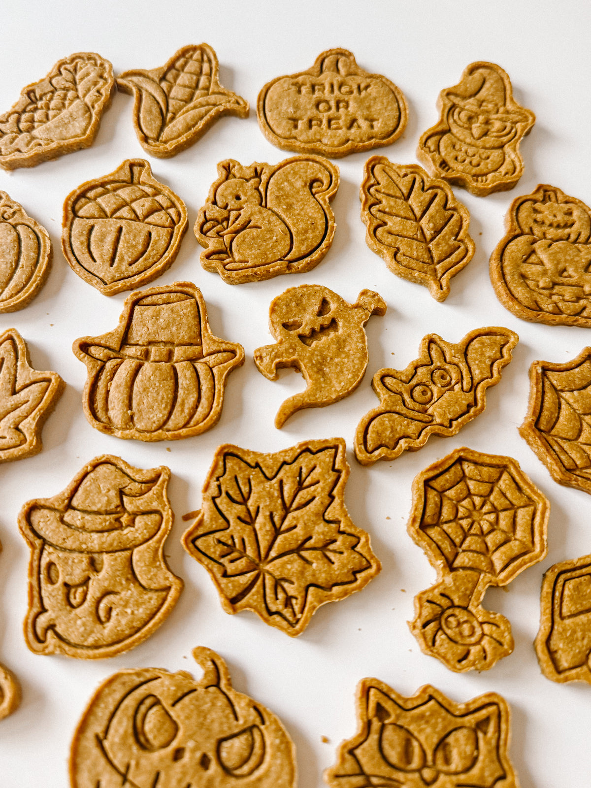 Homemade FALL Dog Treats