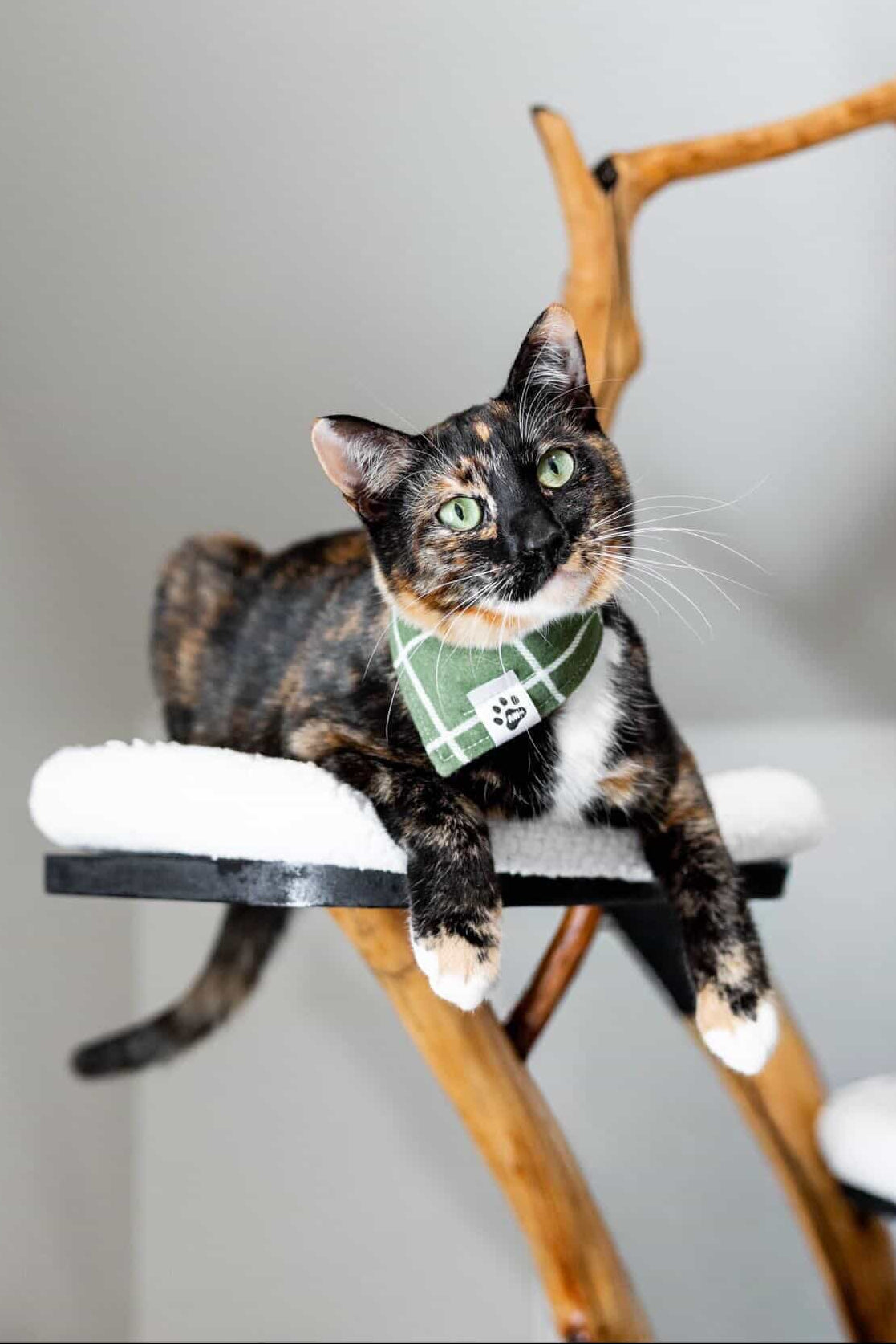 Evergreen Flannel - Bandana