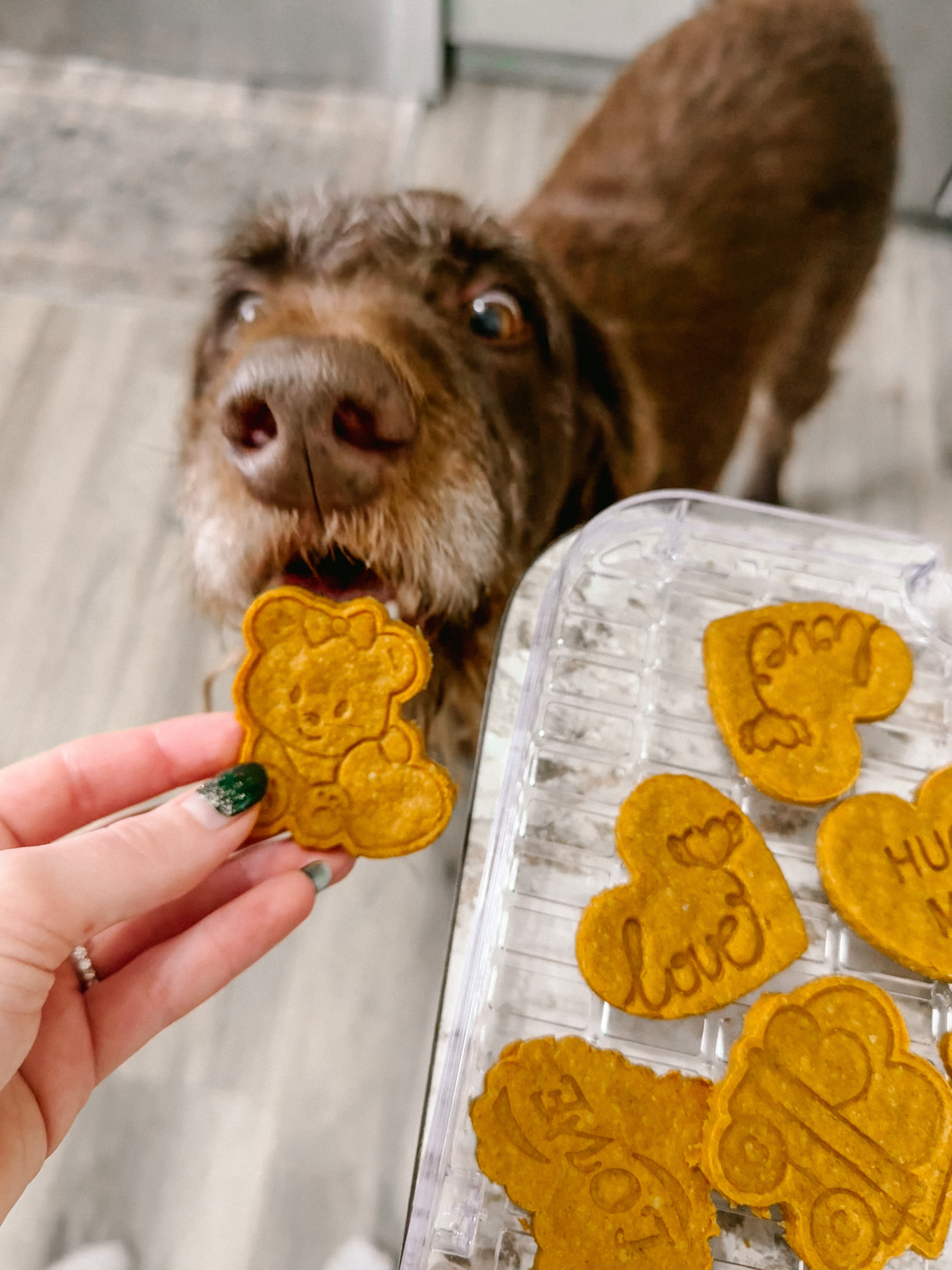 Homemade Valentine’s Cookies