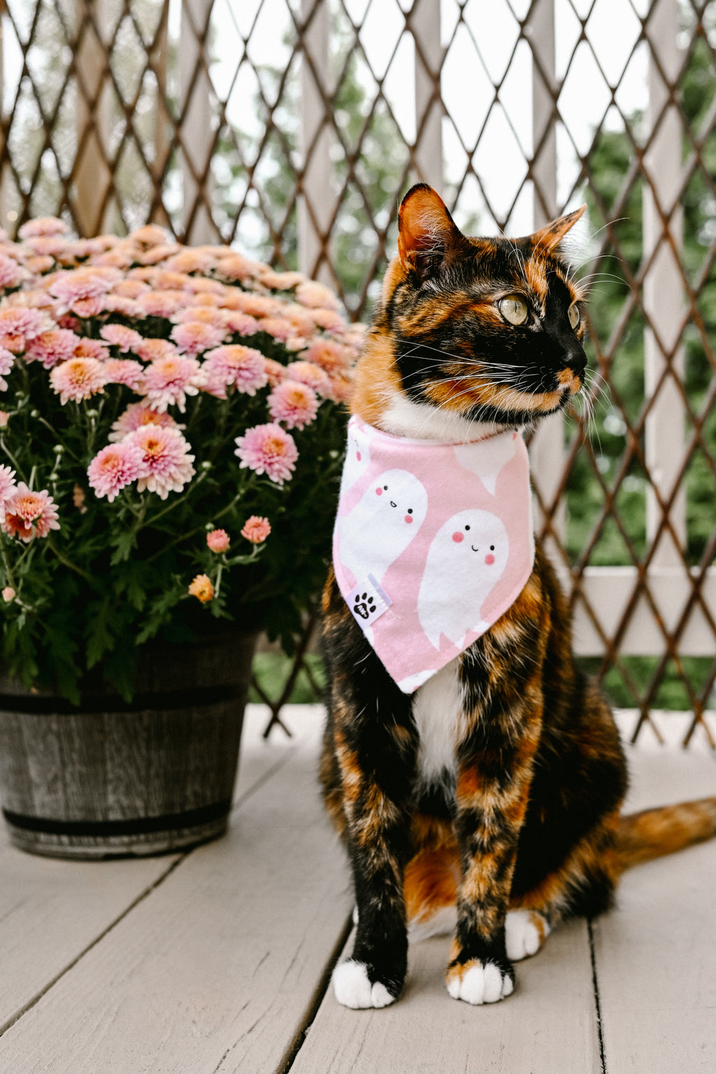 Boo Crew - Flannel Bandana