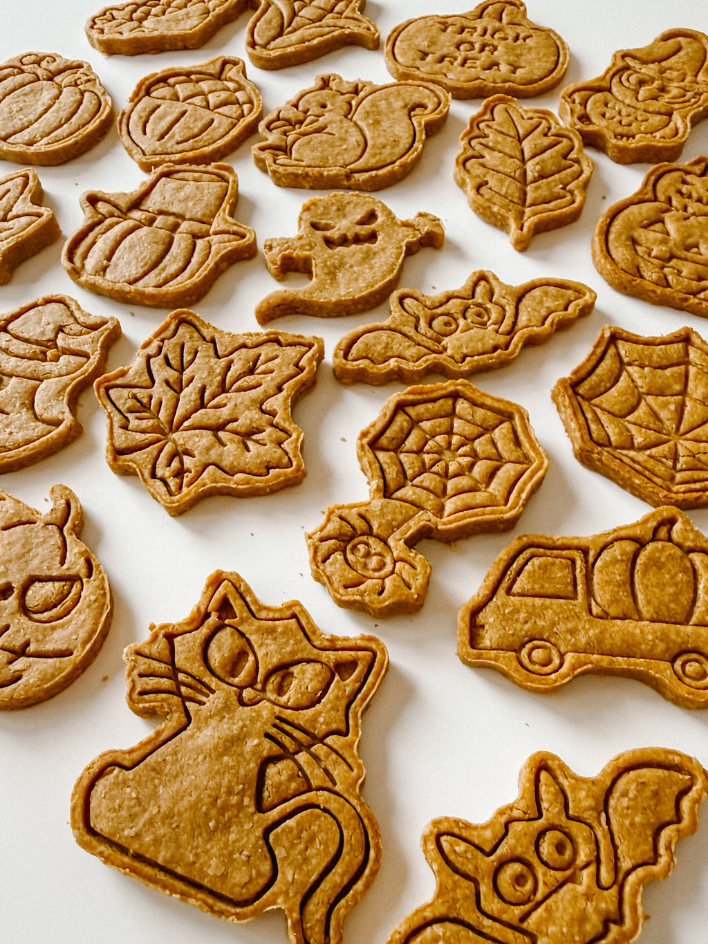Homemade FALL Dog Treats
