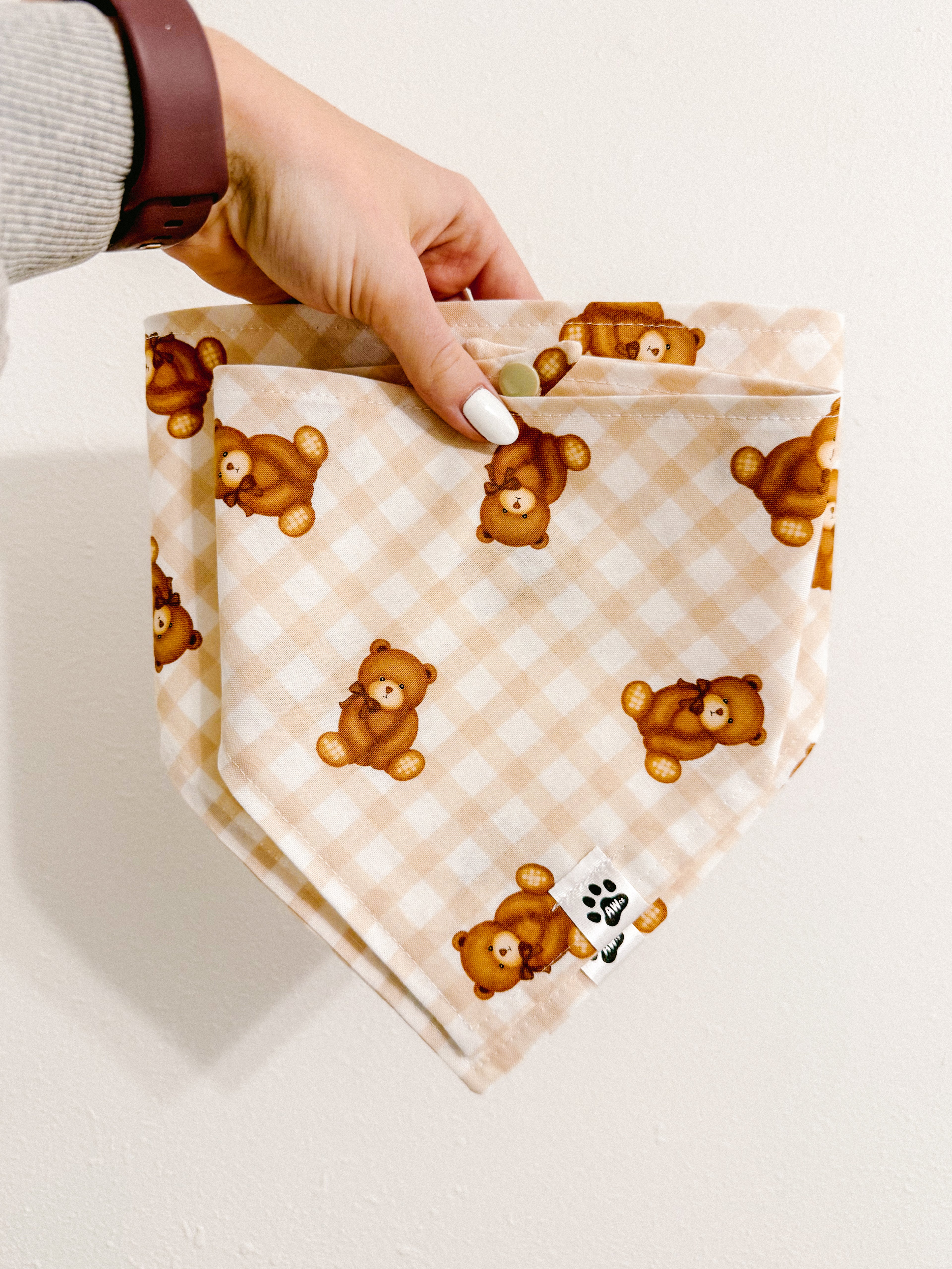 Teddy Picnic - Snap On Bandana