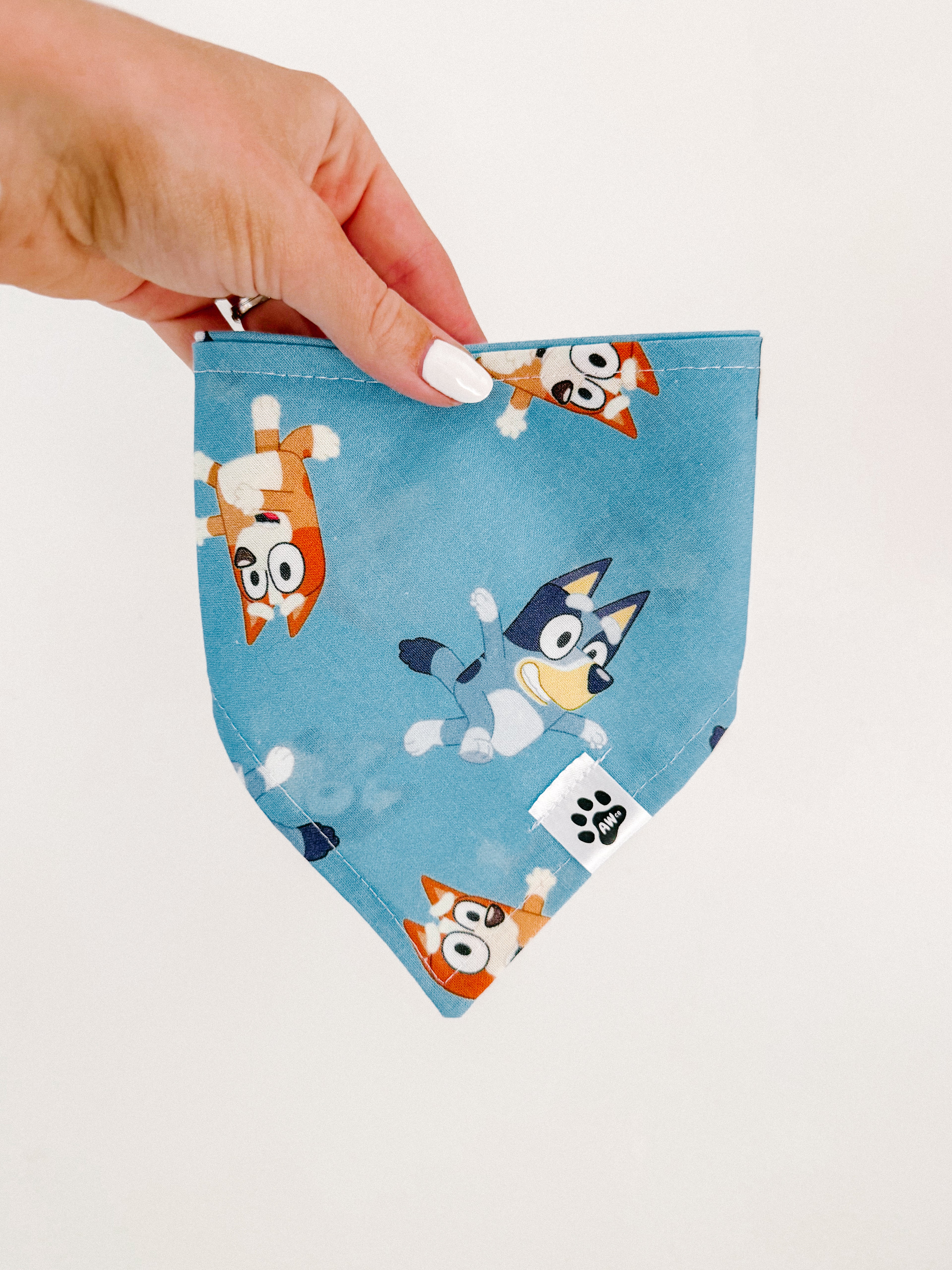 Bluey - Snap On Bandana