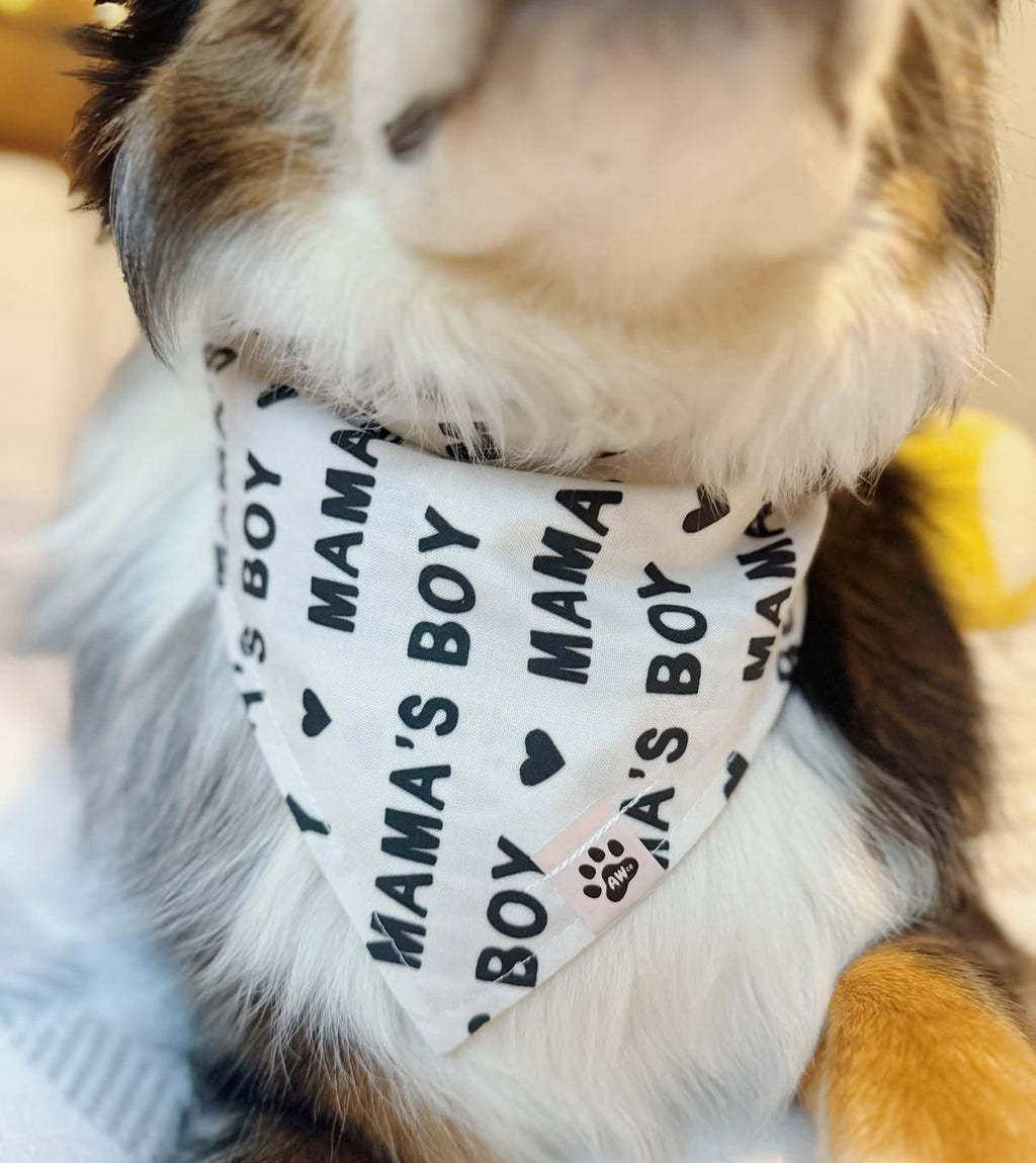 Mama’s Boy - Bandana