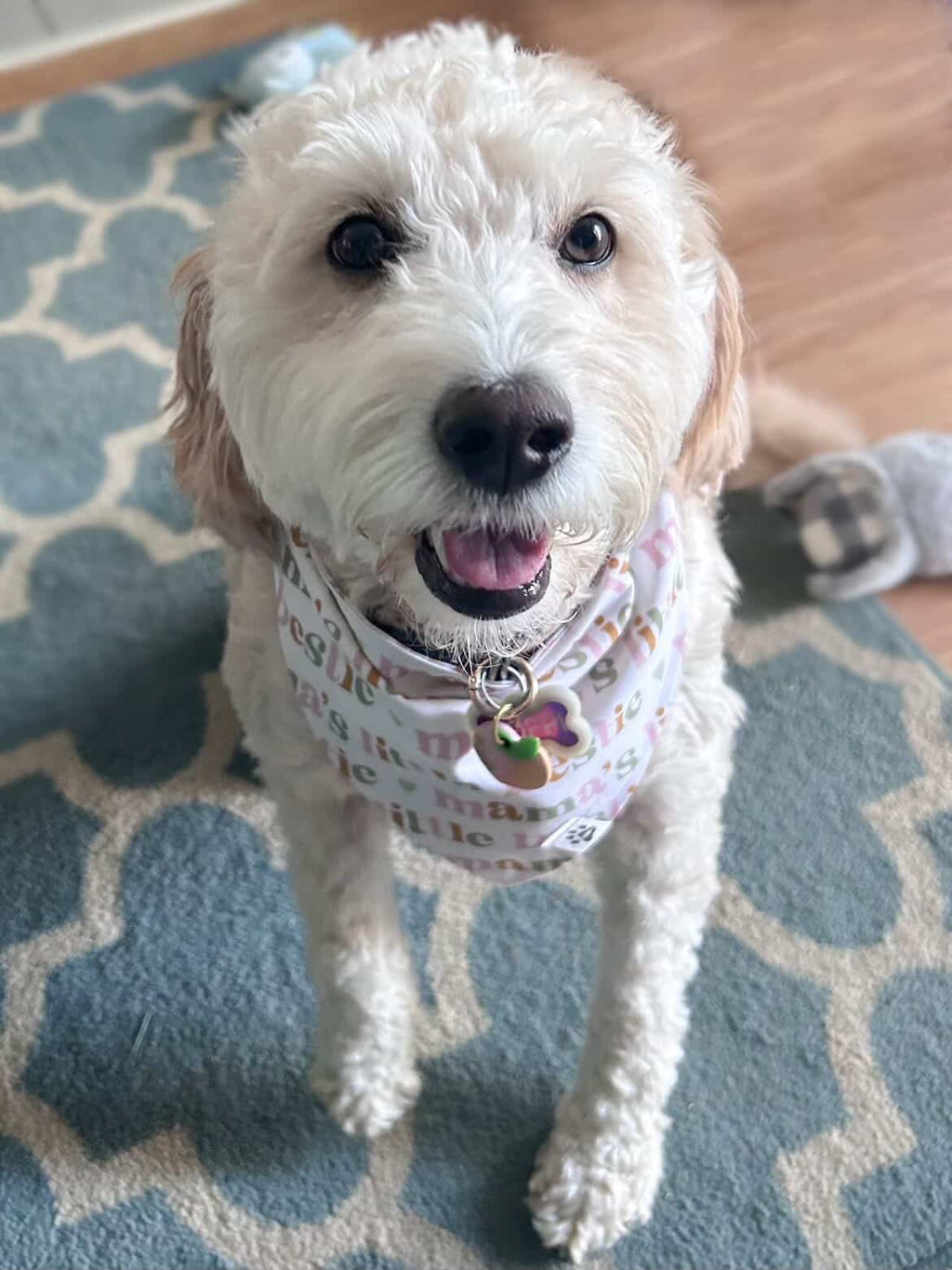 Mama's Bestie Pastel