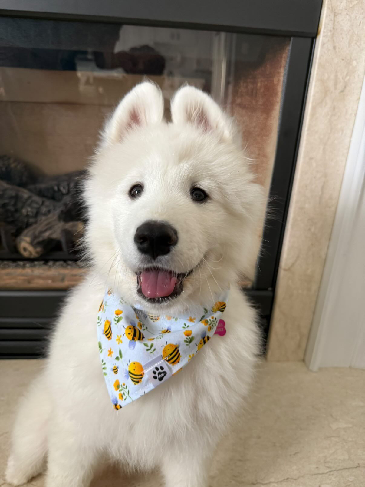 Bee Bliss - Bandana