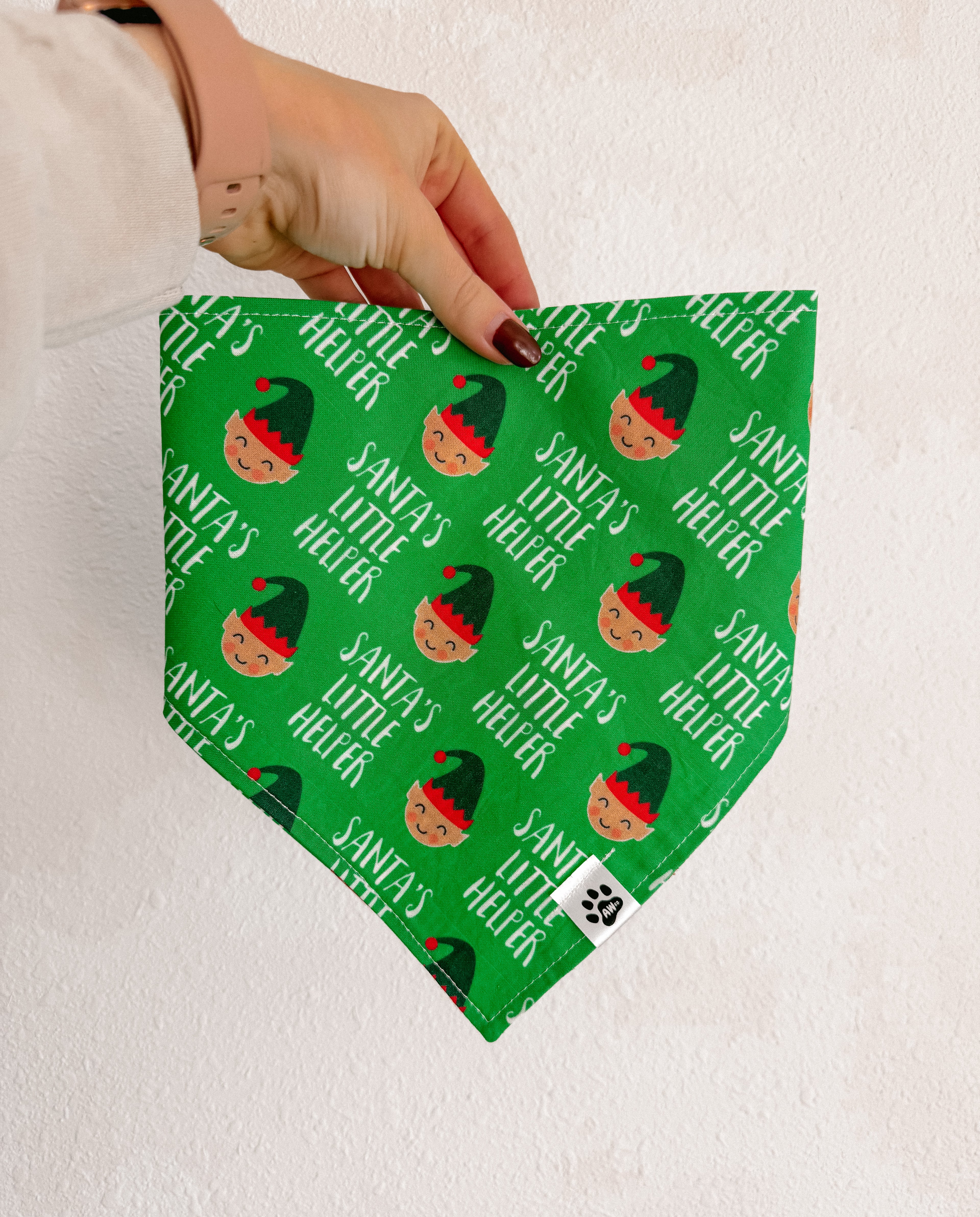 Santa’s Little Helper