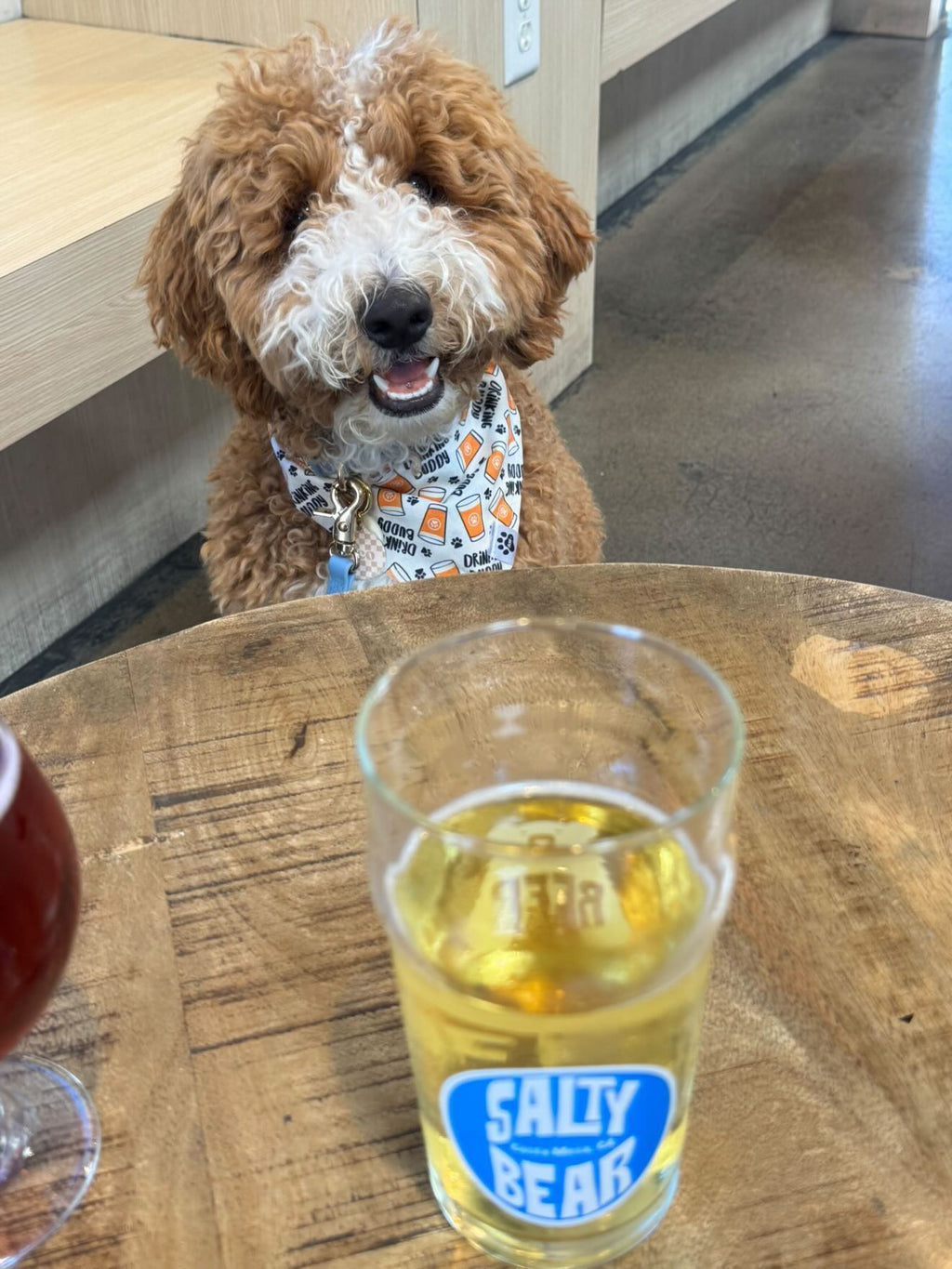 Drinking Buddy - Snap On Bandana