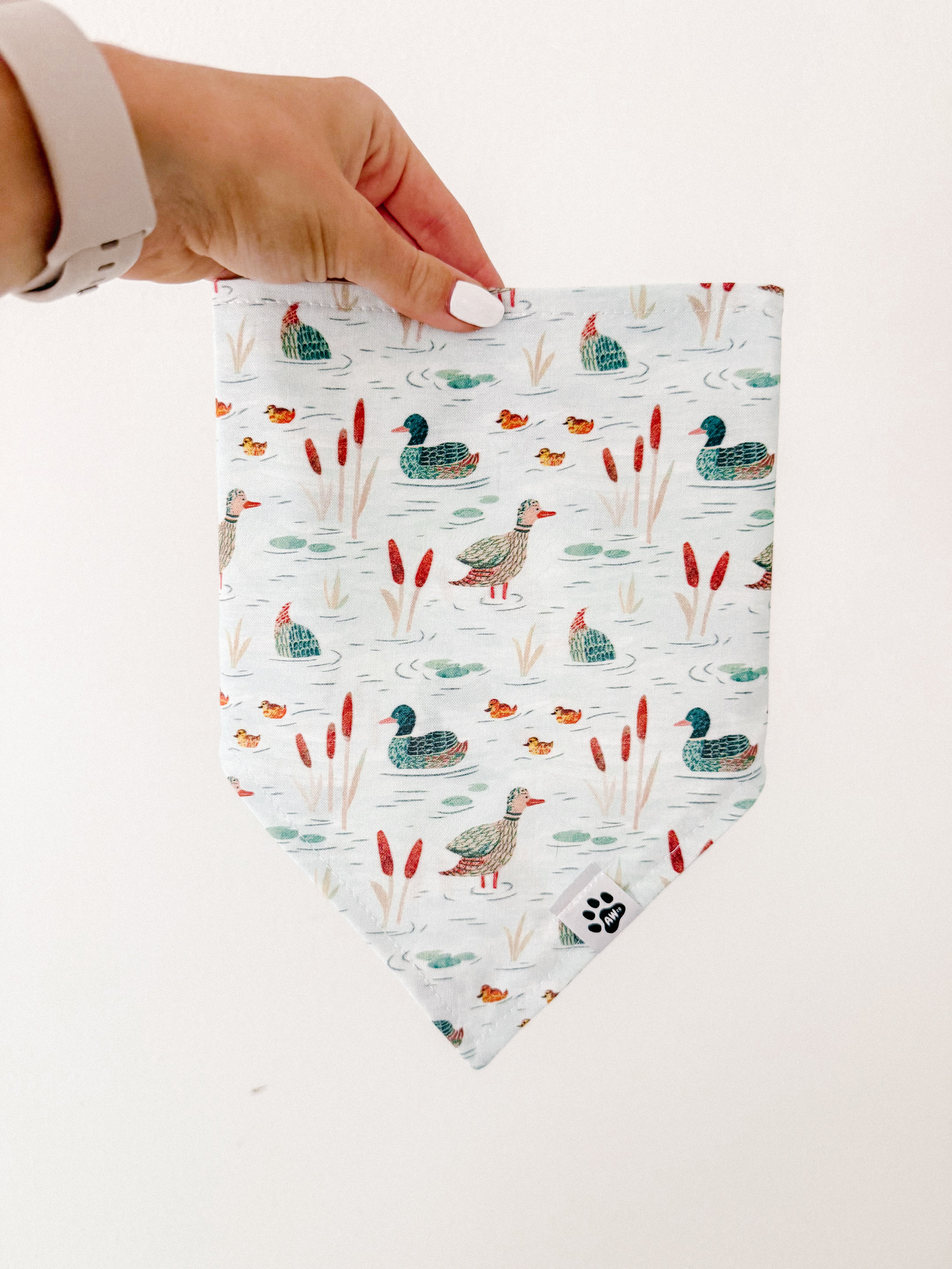 Pond Parade - Snap On Bandana
