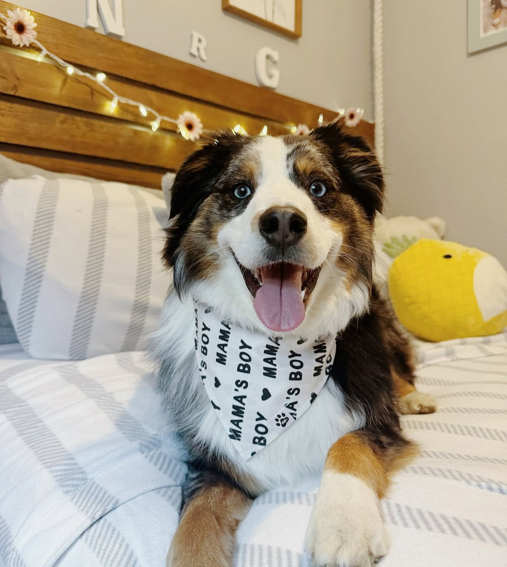 Mama’s Boy - Bandana