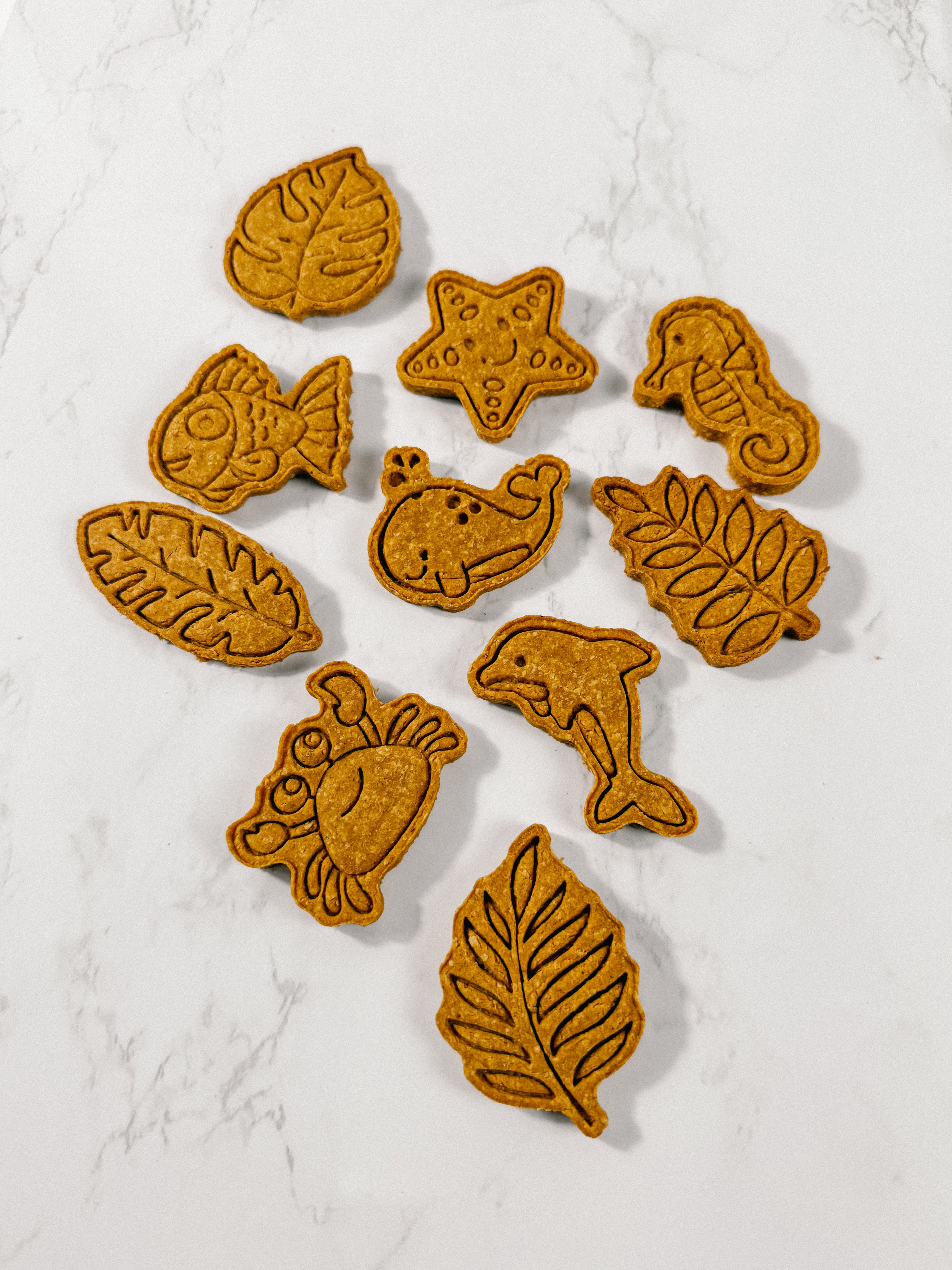 Homemade Beach Dog Treats