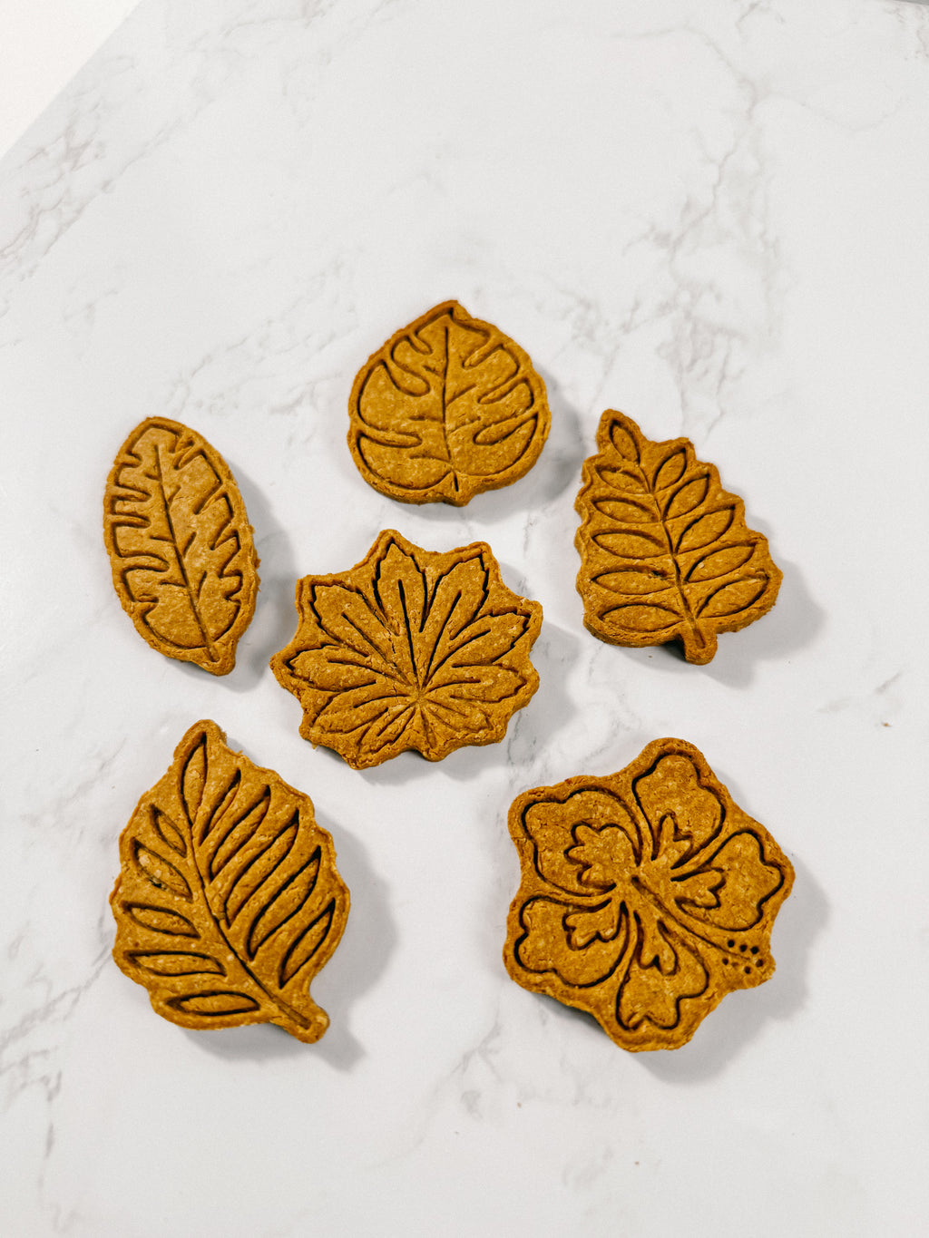 Homemade Tropical Dog Treats