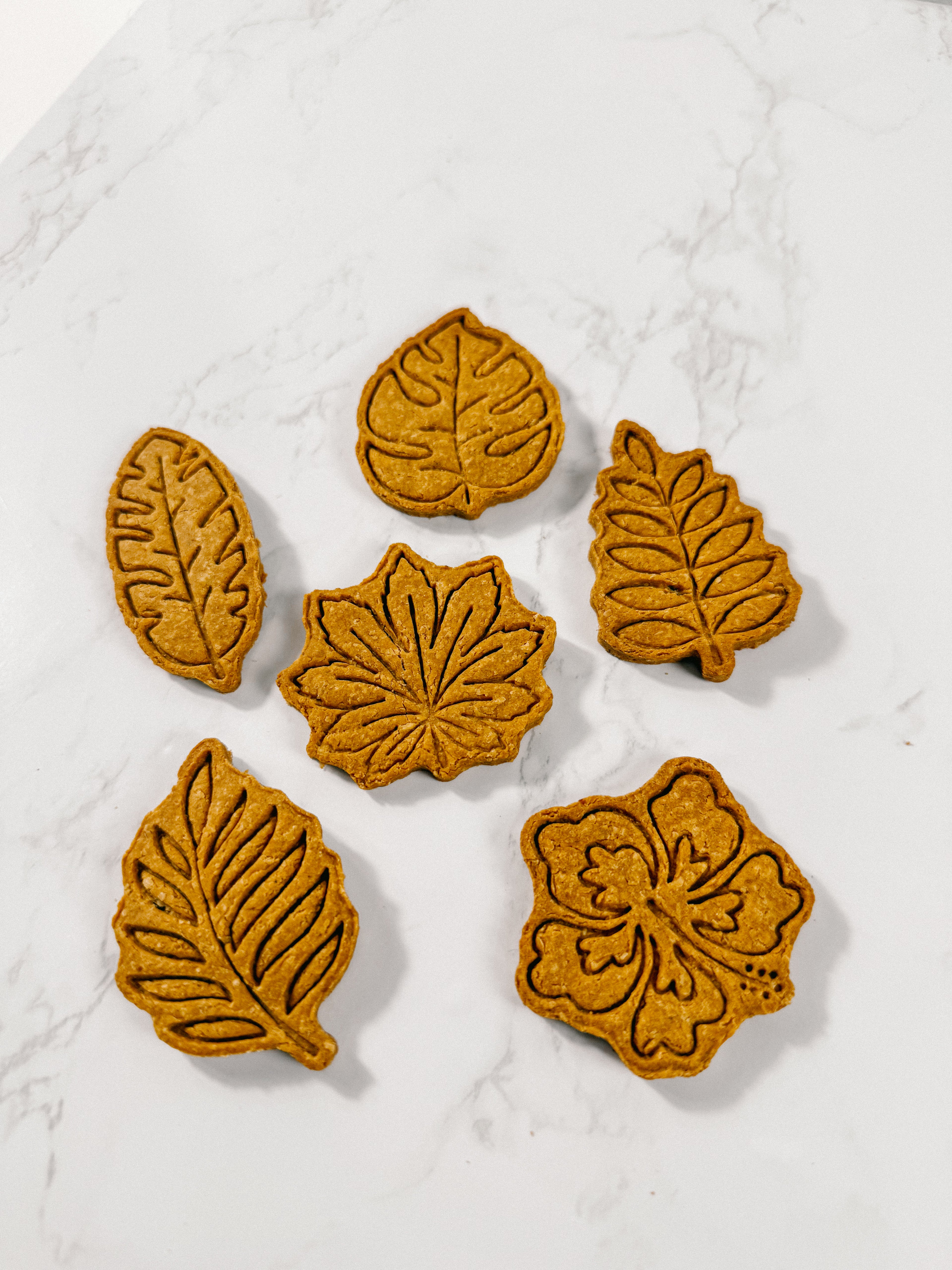 Homemade Tropical Dog Treats