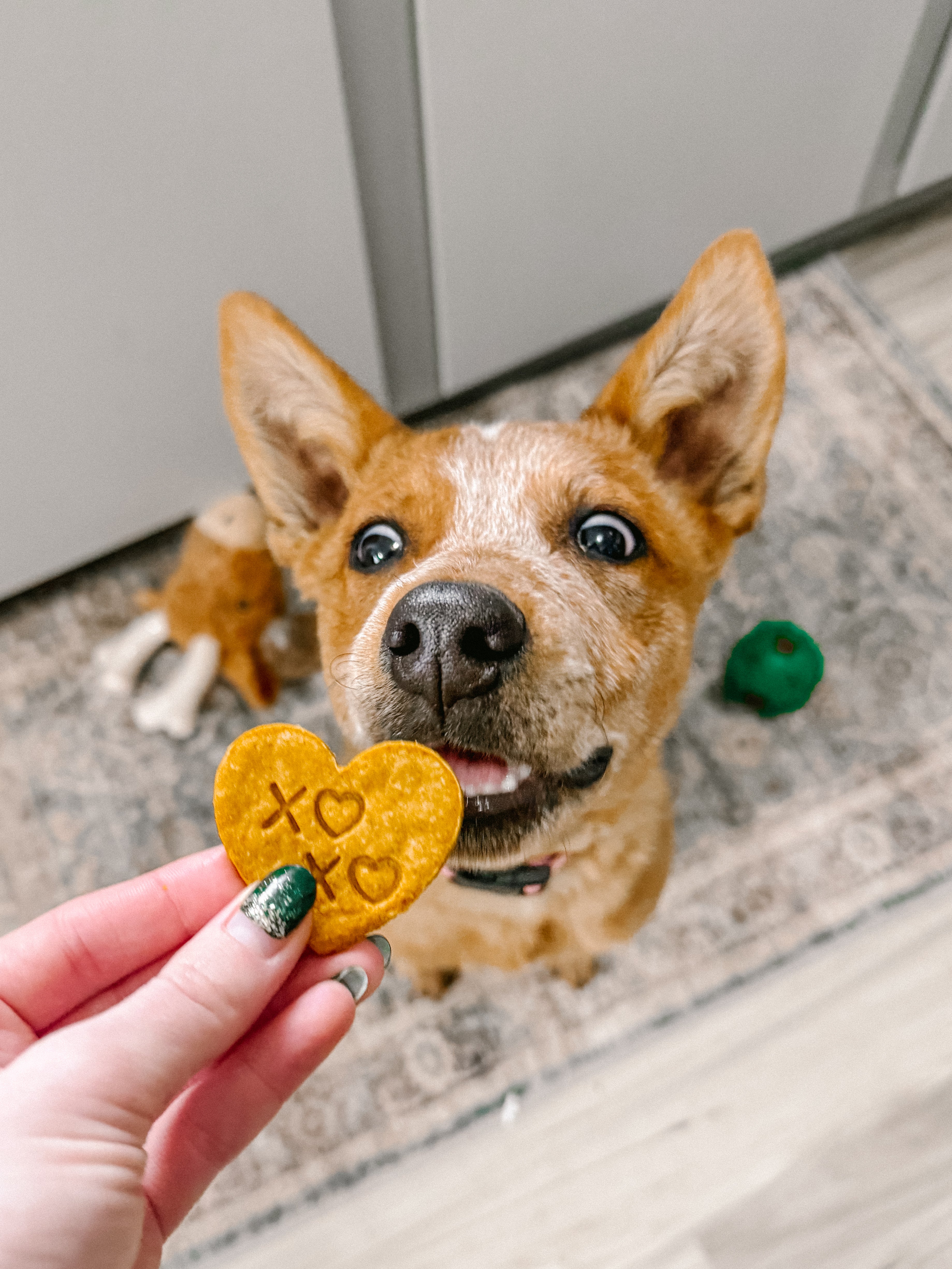 Homemade Valentine’s Cookies