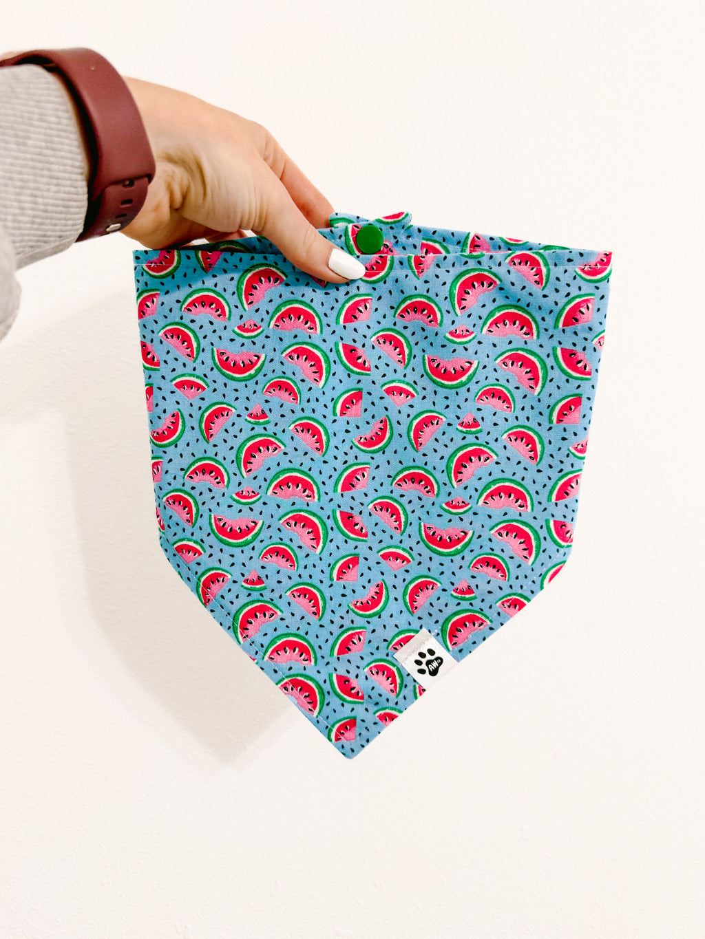 Sweet Watermelon - Snap On Bandana