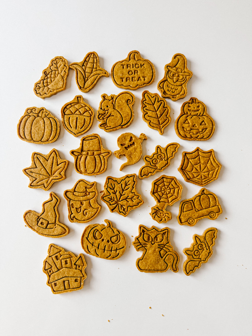 Homemade FALL Dog Treats
