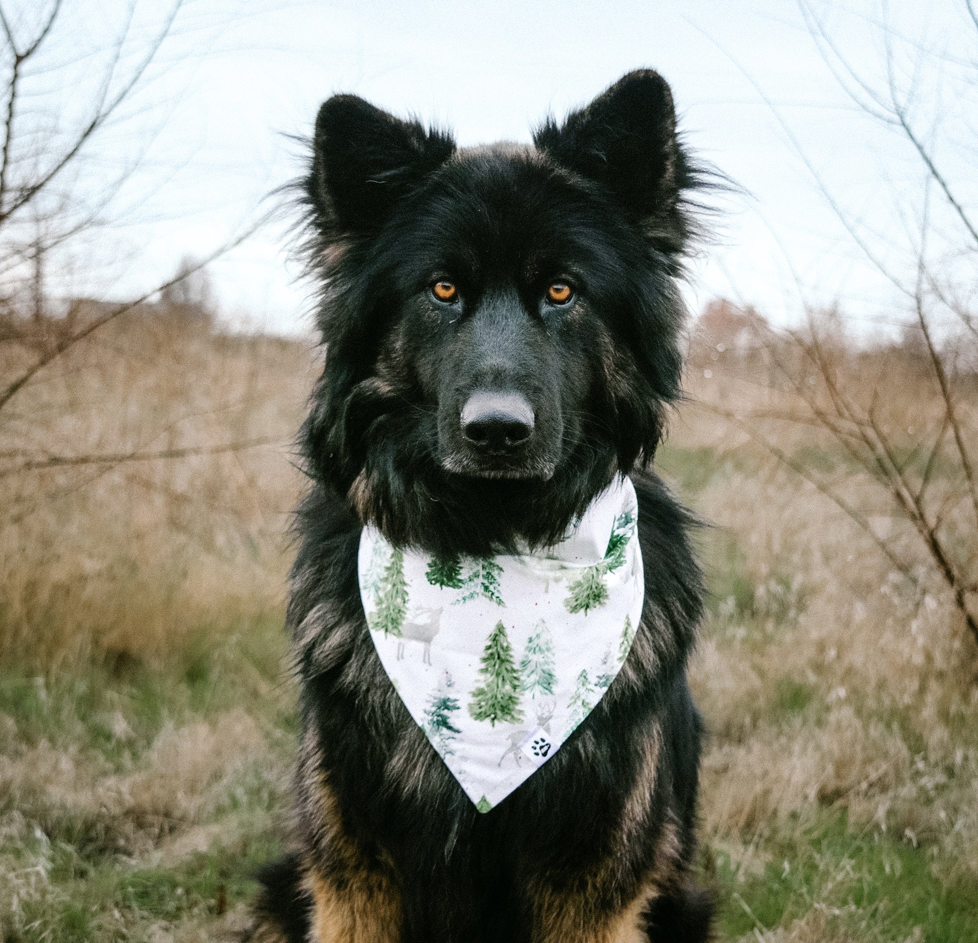 Evergreen Woods Reversible Plaid