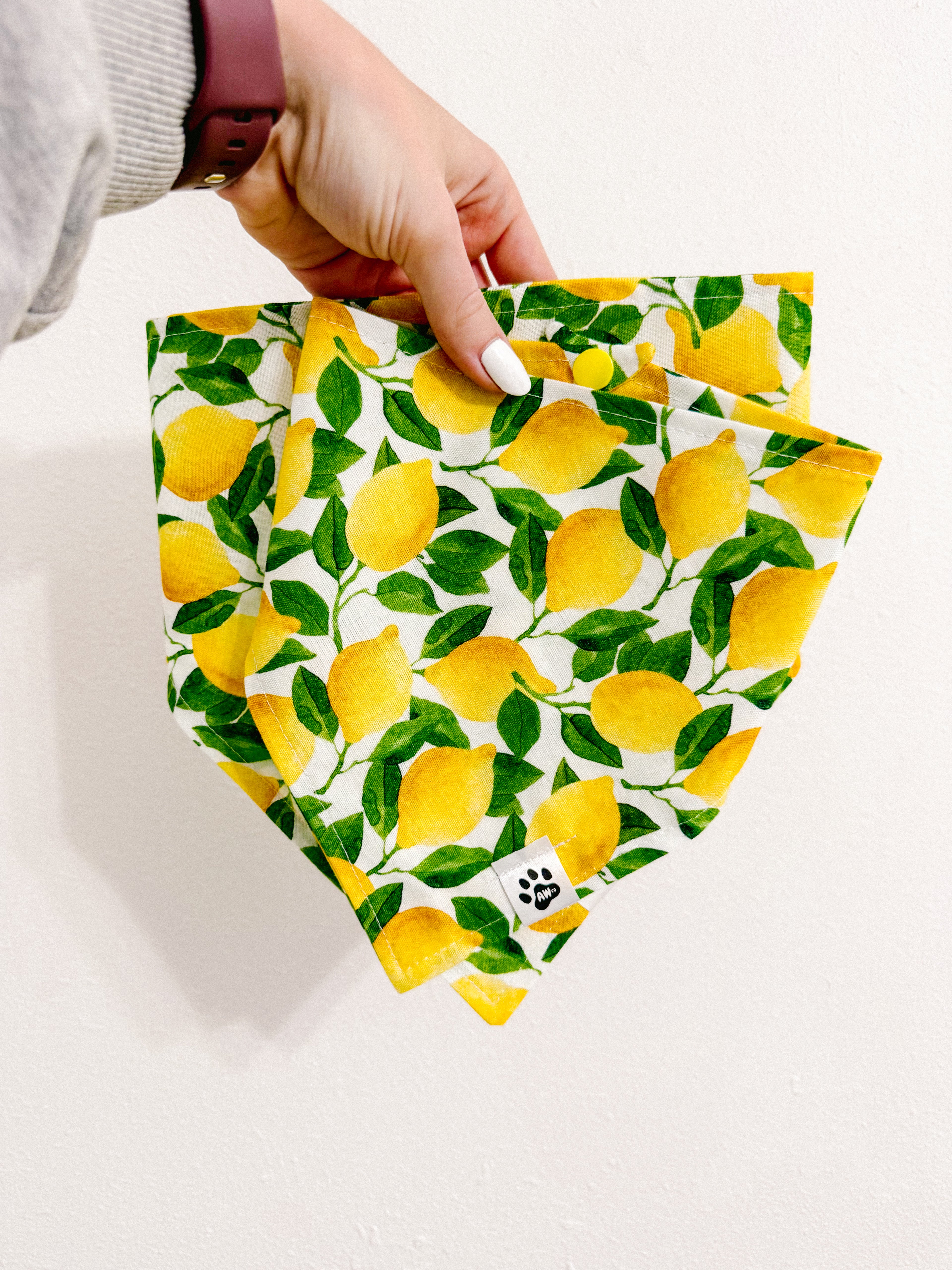 Lemon Grove - Snap On Bandana