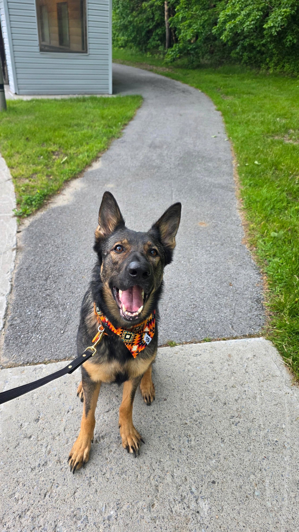 Autumn Aztec - Bandana