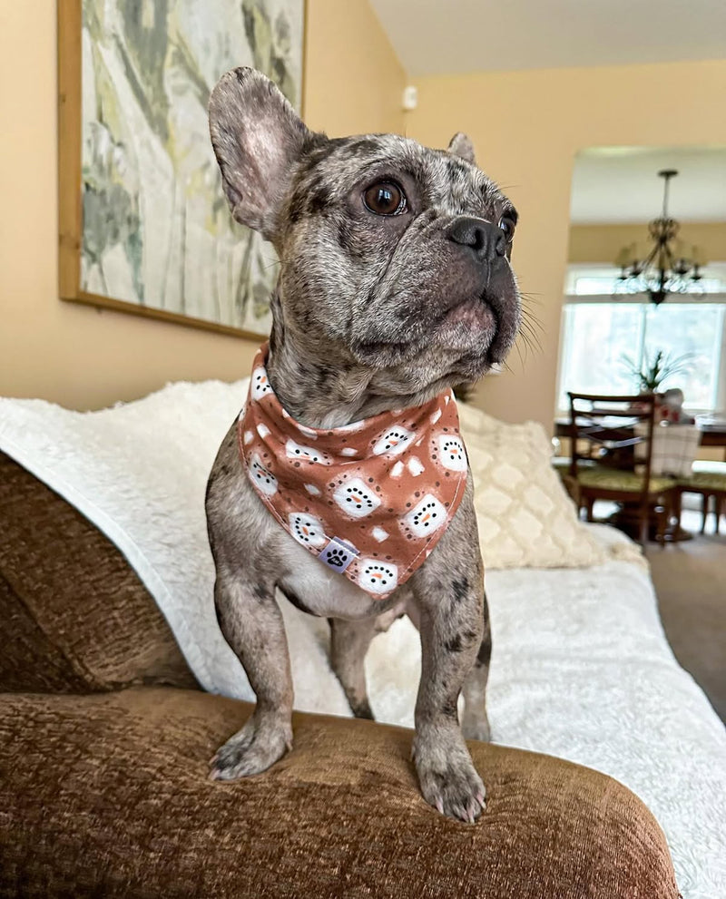 Hot Cocoa - Bandana