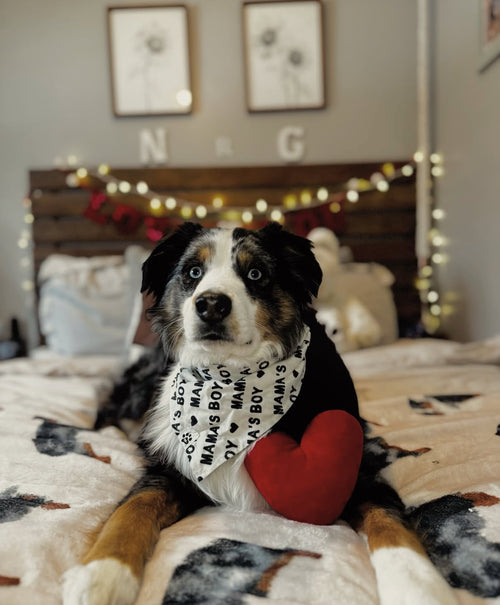 Mama’s Boy - Bandana