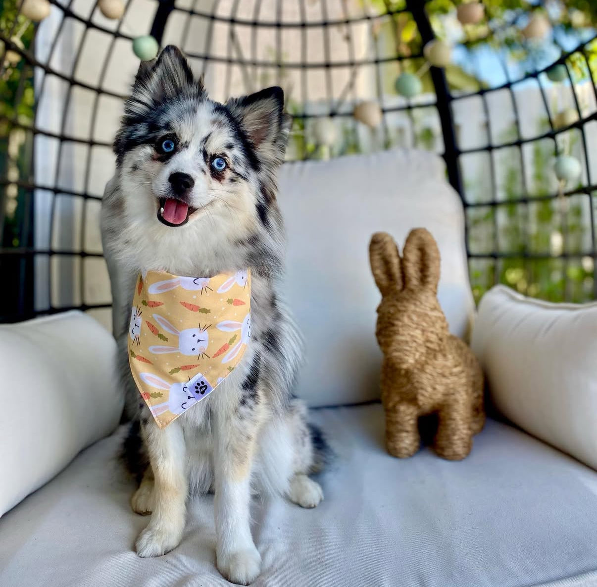 Bunnies & Carrots On Yellow