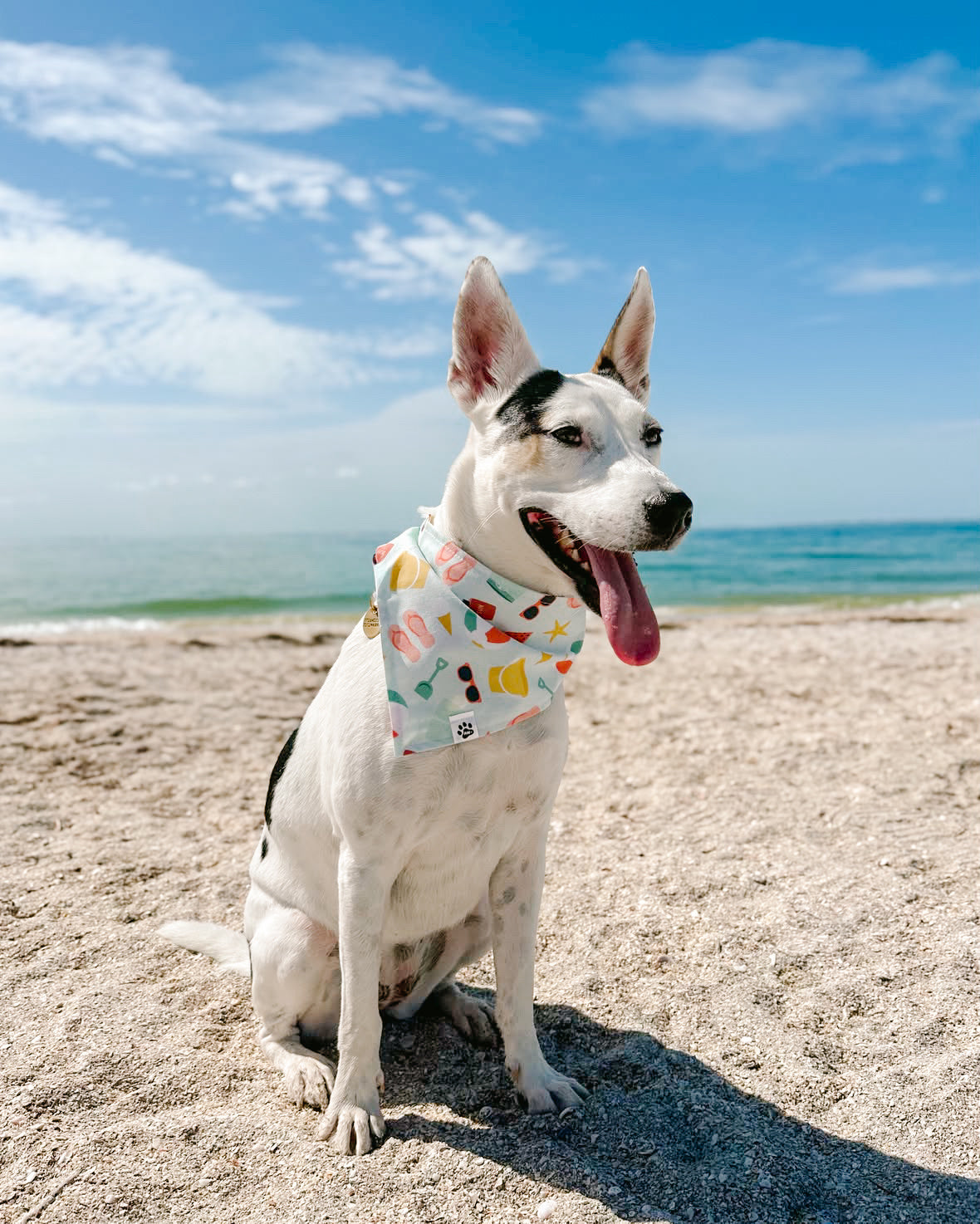Beach Please - Snap On Bandana