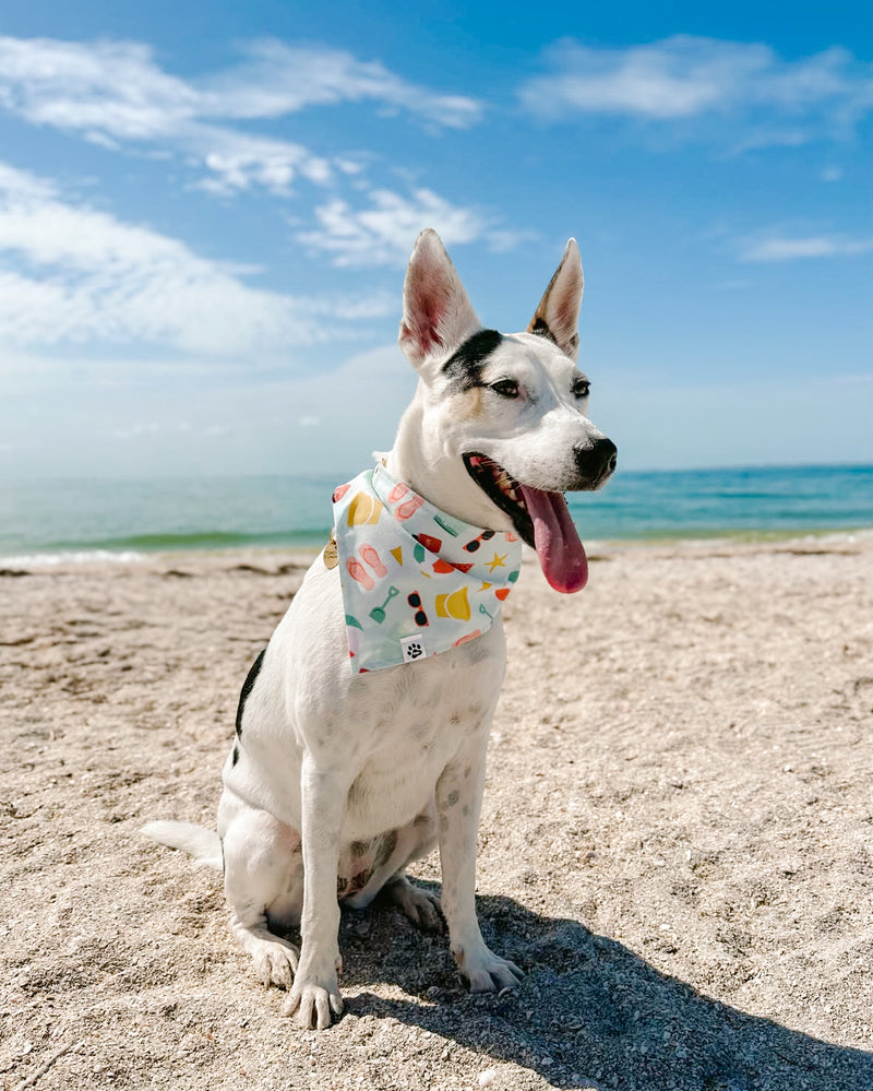 Beach Please - Snap On Bandana